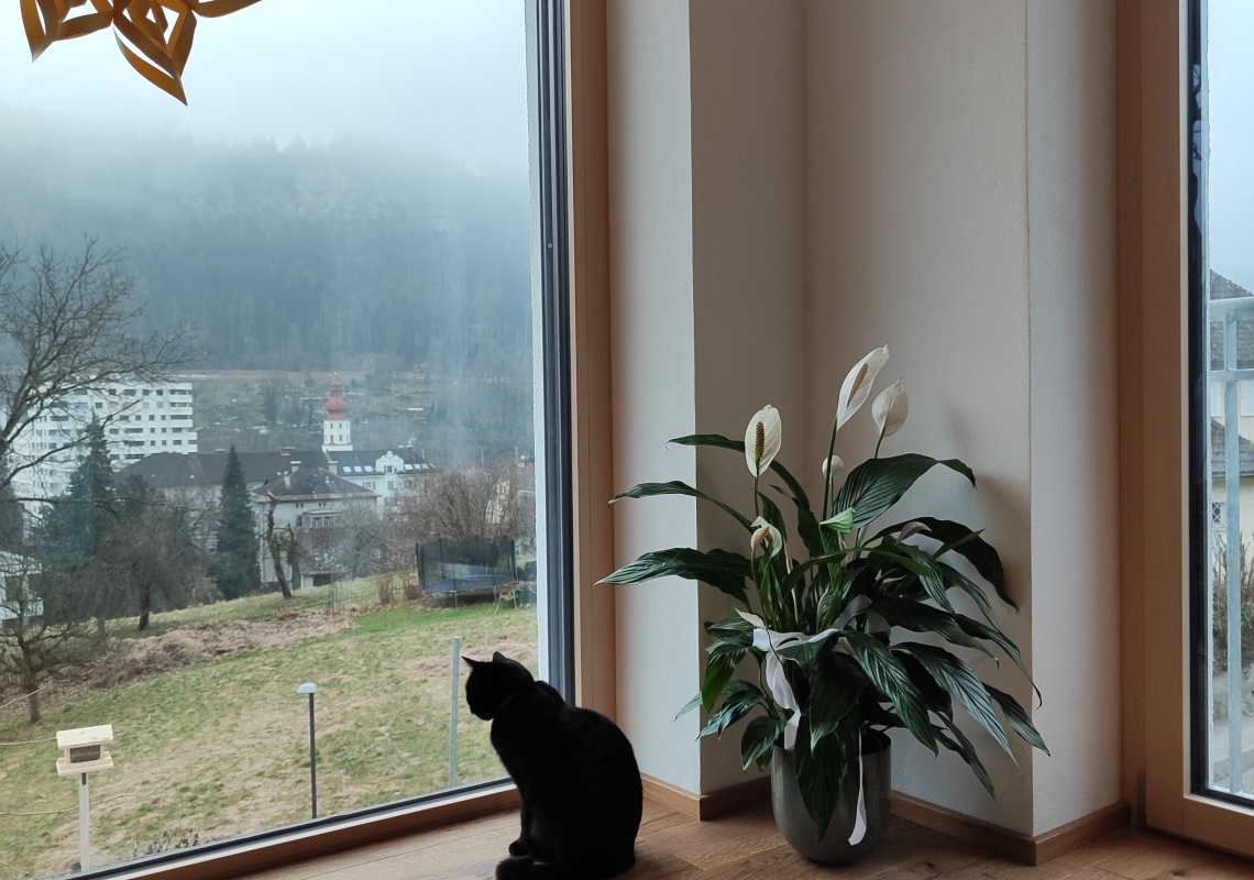 © privat helle Wohnräume